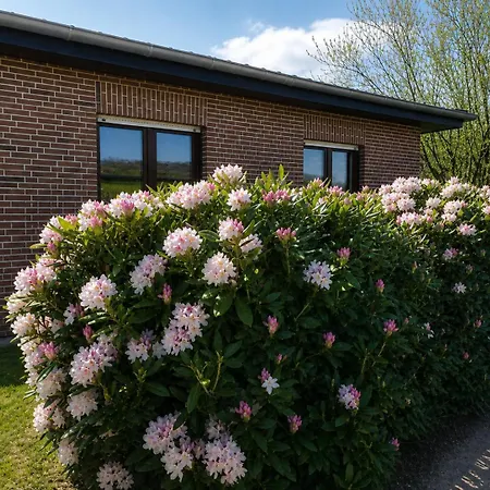 Haus Sonnenblick - Strandnaehe, Schillig, Inklusive Bettwaesche & Handtuecher * شيلينغ